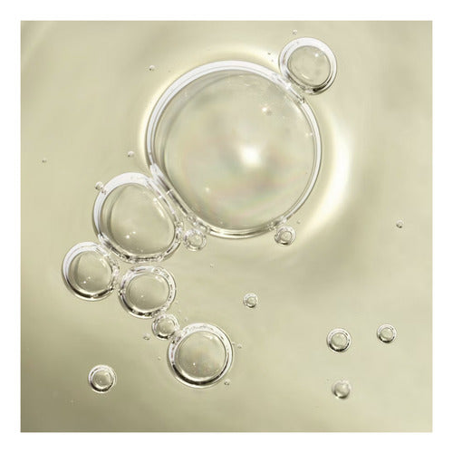 Being Frenshe Glow On Perfume Oil - Palo Santo Sage - 25 Ml