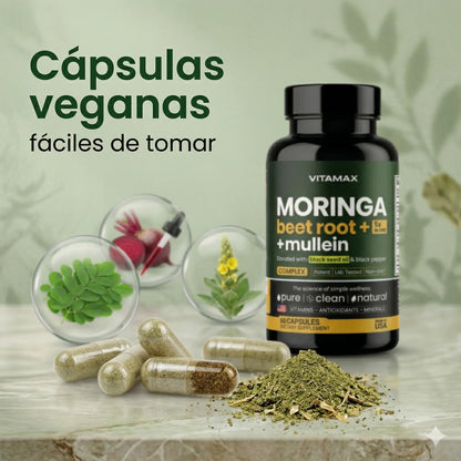 Moringa Extremadamente Eficaz Con 60 Cápsulas Antioxidante Sin Sabor
