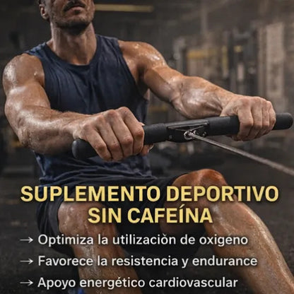 Nad+ Nicotinamida 500mg Coenzima Q10 Suplemento 60 Capsulas Sin Sabor