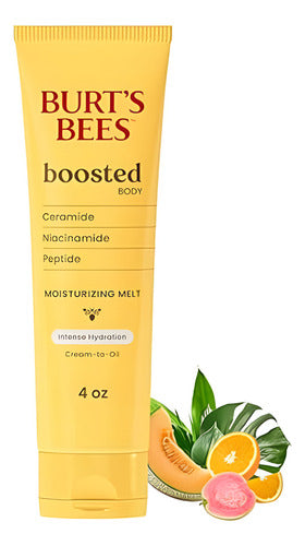 Burt's Bees Moisturizing Melt Hidratante Facial Natural Todo Tipo De Piel Día/noche