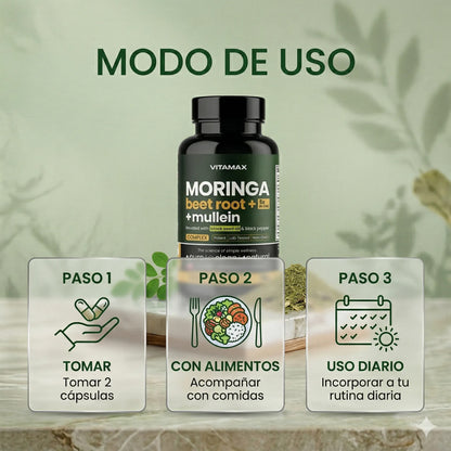 Moringa Extremadamente Eficaz Con 60 Cápsulas Antioxidante Sin Sabor