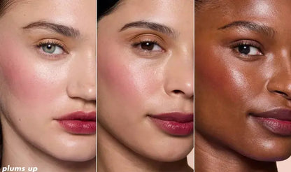 E.l.f. Blush Tint Lips Cheek Plums Up Bordó