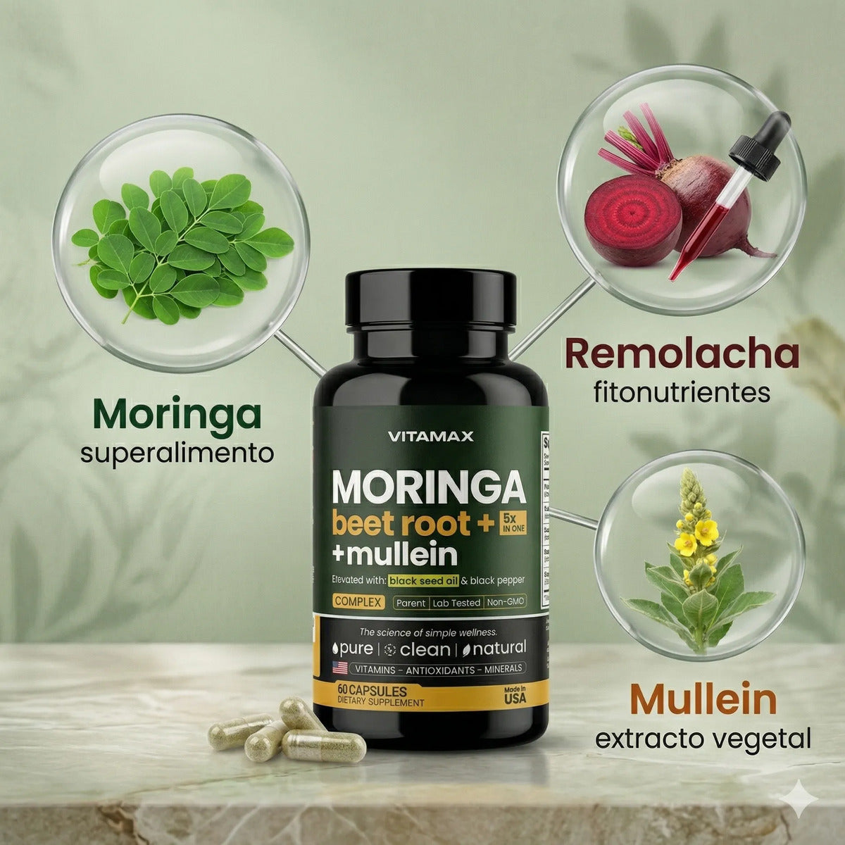 Moringa Extremadamente Eficaz Con 60 Cápsulas Antioxidante Sin Sabor